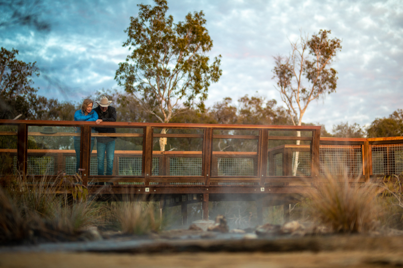 A couple gazes over Talaroo Hot Springs from the boardwalk.