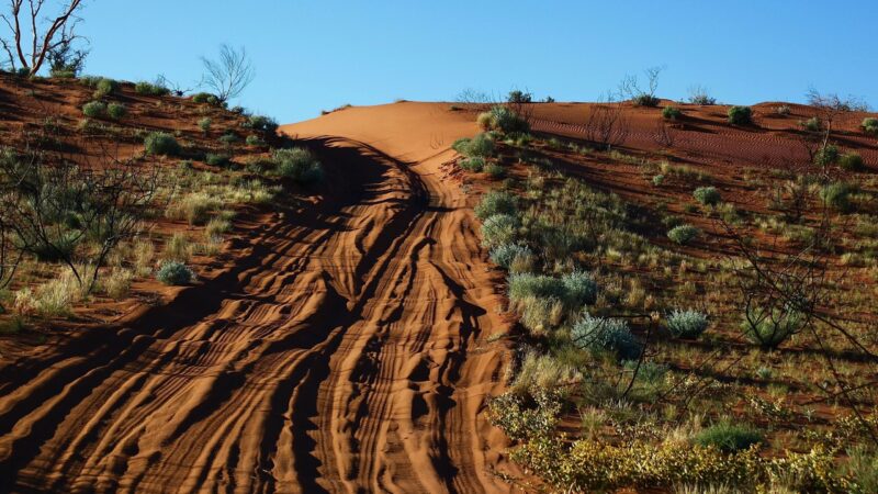 Sand dune on the Canning Stock Route